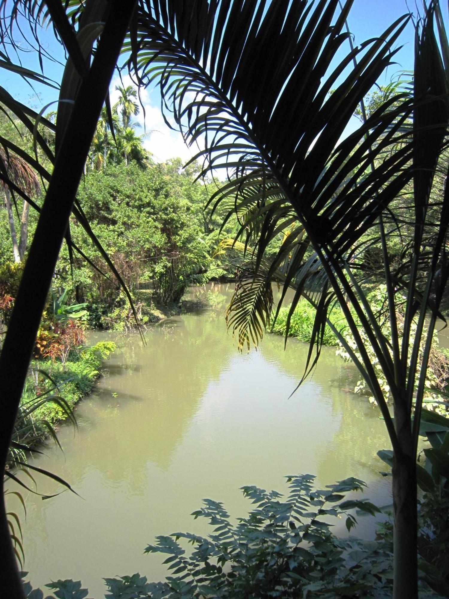 Phanom Bencha Mountain Resort Krabi Exterior photo