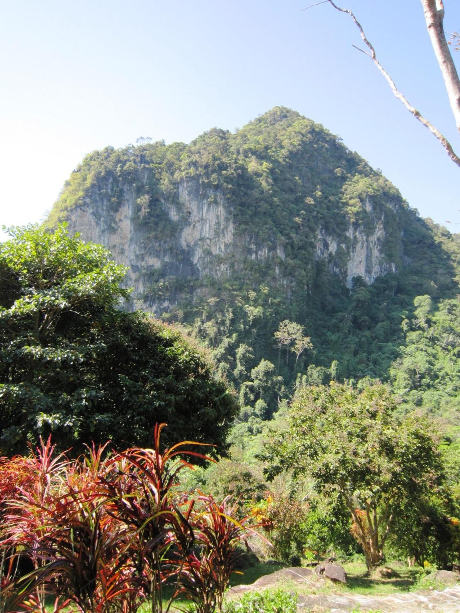 Phanom Bencha Mountain Resort Krabi Exterior photo