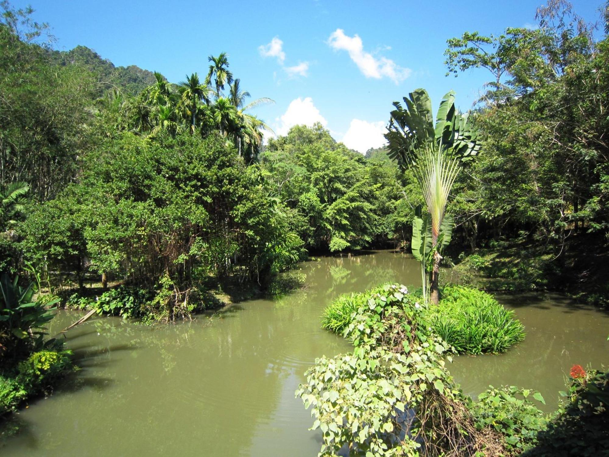 Phanom Bencha Mountain Resort Krabi Exterior photo