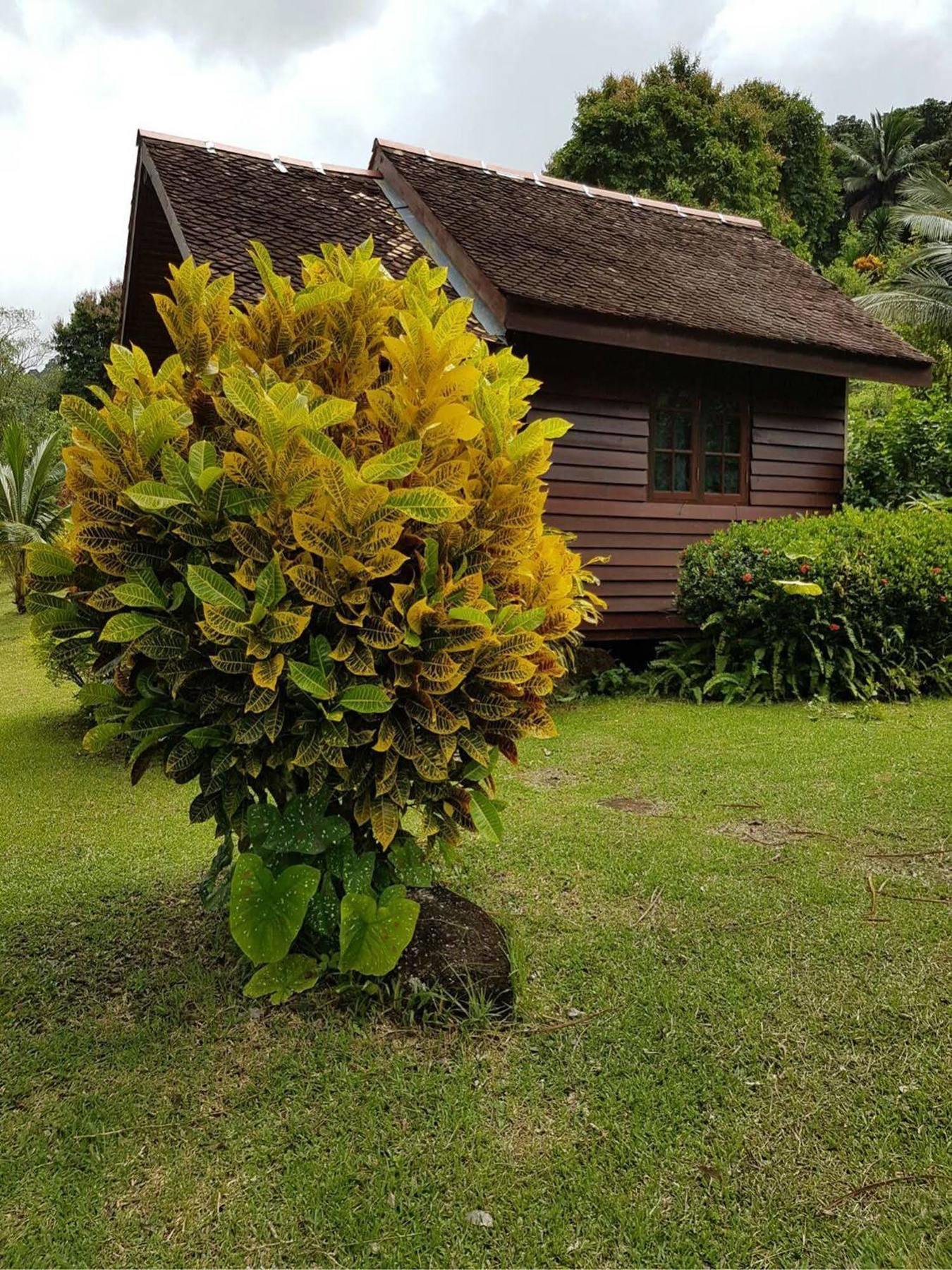 Phanom Bencha Mountain Resort Krabi Exterior photo