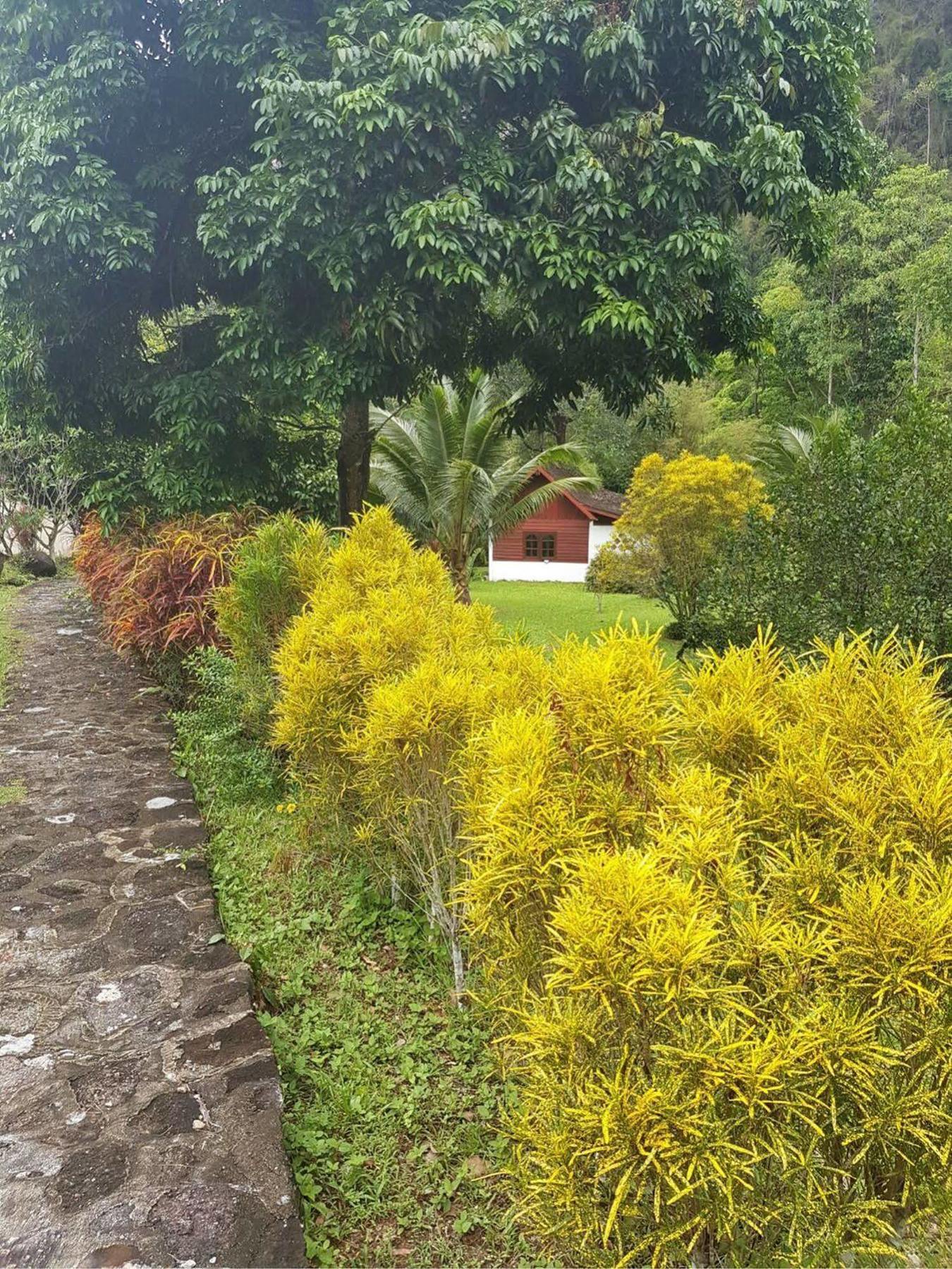 Phanom Bencha Mountain Resort Krabi Exterior photo