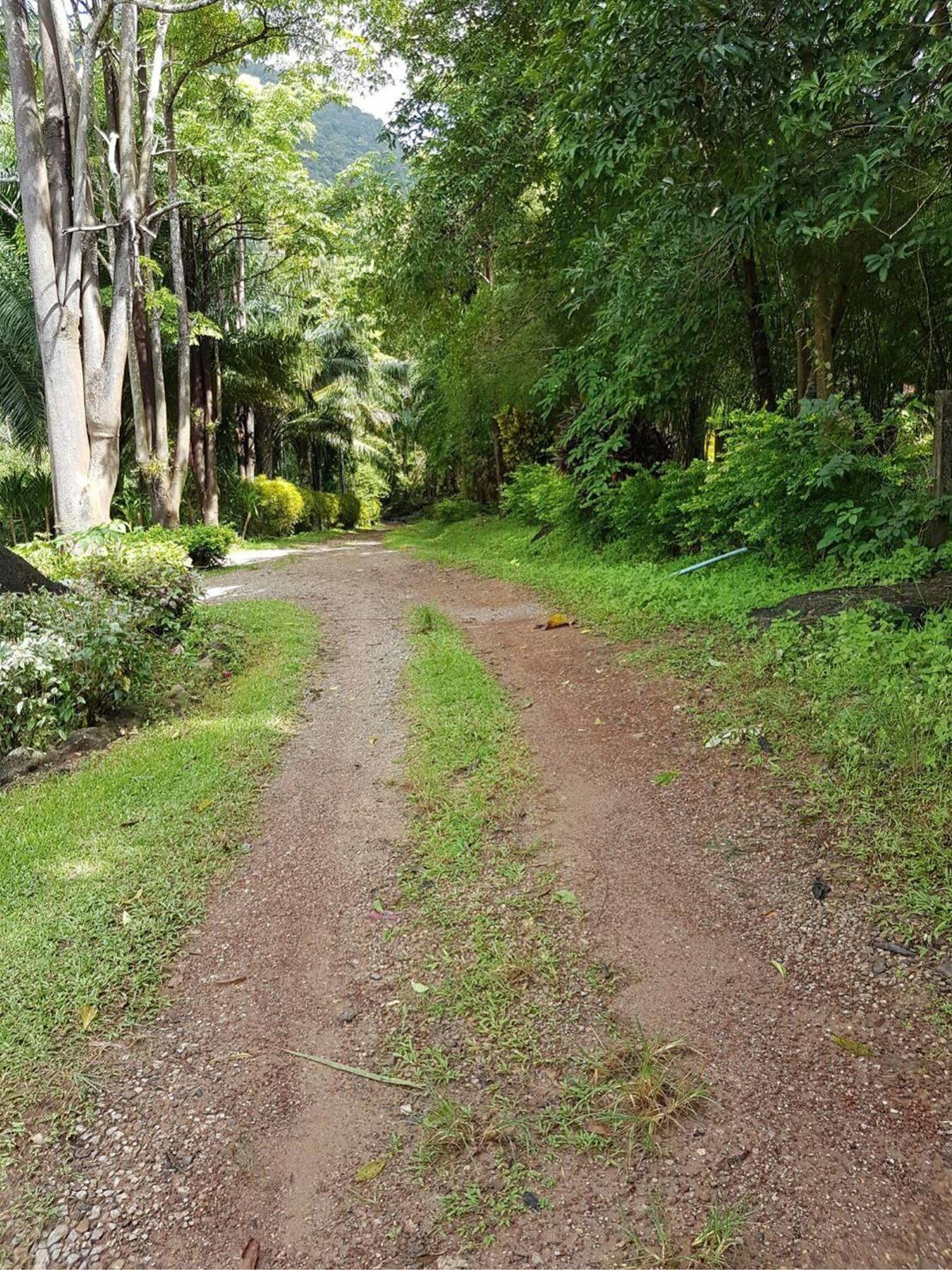 Phanom Bencha Mountain Resort Krabi Exterior photo