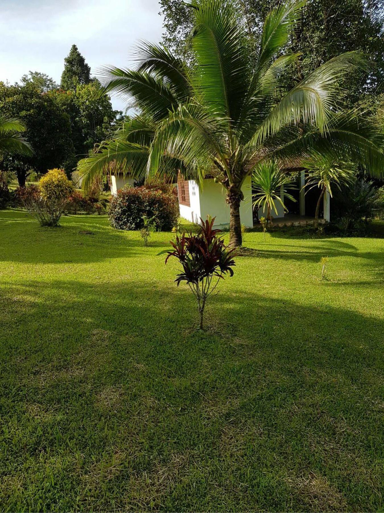 Phanom Bencha Mountain Resort Krabi Exterior photo